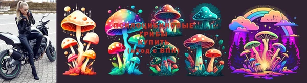spice Вязники