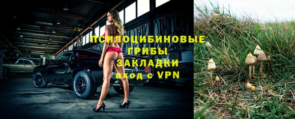 spice Вязники