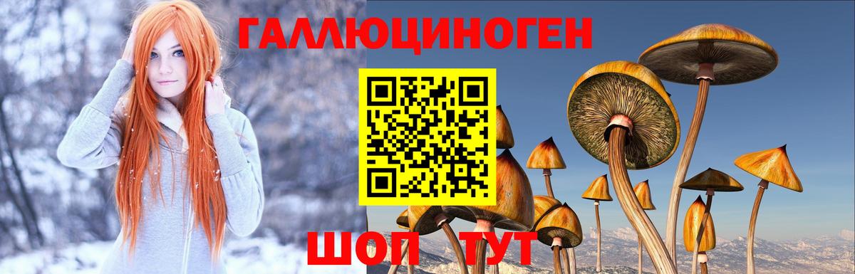 Псилоцибиновые грибы MAGIC MUSHROOMS  Вход с VPN  Видное 