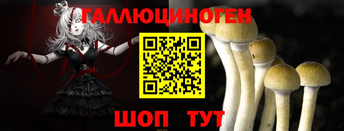 Псилоцибиновые грибы Magic Shrooms Видное